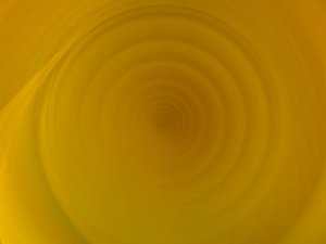 知识库能力模型：你需要具备哪些技能